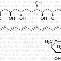 Amphotericin B|00329|1397-89-3