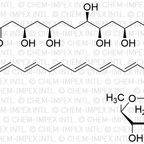 Amphotericin B|00329|1397-89-3
