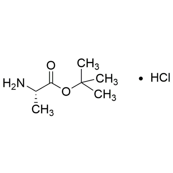 L-Alanine tert-butyl ester hydrochloride|03014|13404-22-3