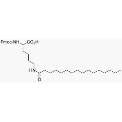 Na-Fmoc-Ne-palmitoyl-L-lysine|05737|201004-46-8