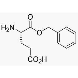 L-Glutamic acid a-benzyl ester|03056|13030-09-6