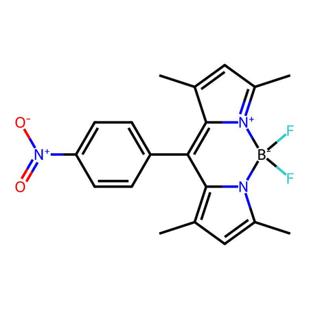 8-(4-Nitrophenyl) bodipy, 98%|913200|321895-92-5