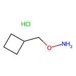 O-(Cyclobutylmethyl)hydroxylamine hydrochloride|CS-0145228|75852-80-1