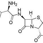 Ampicillin sodium salt|00516|69-52-3