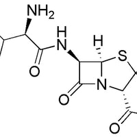 Ampicillin sodium salt|00516|69-52-3