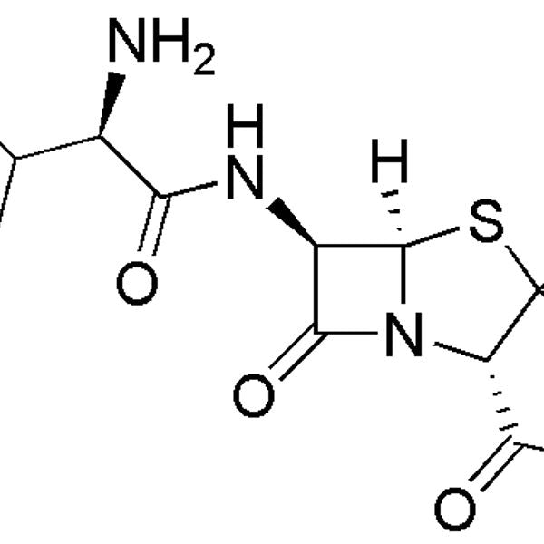 Ampicillin sodium salt|00516|69-52-3
