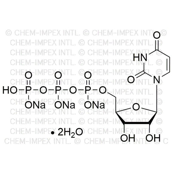 Uridine-5'-triphosphate trisodium salt dihydrate|00311|116295-90-0