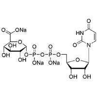 Uridine-5'-diphosphoglucuronic acid trisodium salt|00586|63700-19-6