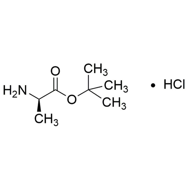 D-Alanine tert-butyl ester hydrochloride|03269|59531-86-1