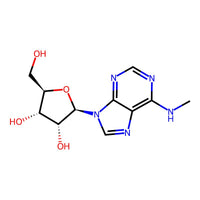 N6-Methyladenosine|CS-3285|1867-73-8