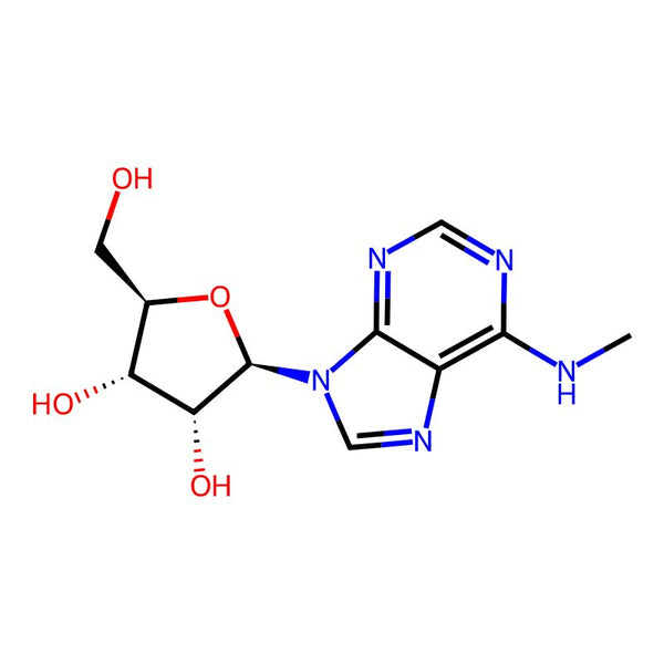 N6-Methyladenosine|CS-3285|1867-73-8
