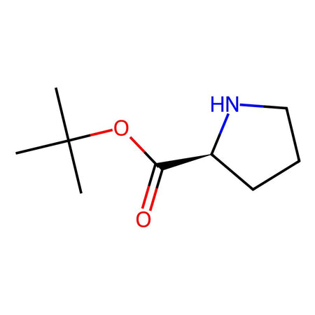 H-Pro-OtBu (syrup)|CPTD788016|2812-46-6