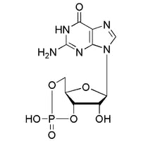 Guanosine-3':5'-cyclic monophosphate|00393|7665-99-8