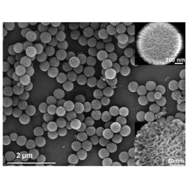 High Surface area Silica nanoparticles, small, particle size ~130-190 nm, surface area ~380 m2/g, (KCC-1 S1)|14-6300|112945-52-5
