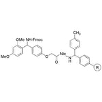 Rink amide MBHA resin (with Norleucine)|03642|431041-83-7