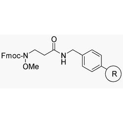 Na-Fmoc-N-methoxy-b-alanine AM resin|04260