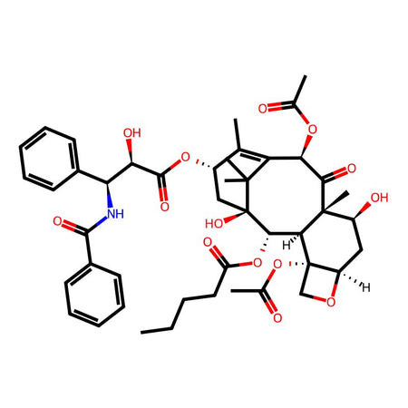 2-Debenzoyl Paclitaxel 2-Pentanoate|C4X-184219|213767-22-7