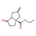 (S)-Ethyl 2-methylene-5-oxohexahydro-1H-pyrrolizine-7a-carboxylate|CS-0615990|2820536-98-7