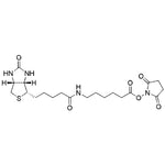 Biotinyl-e-aminocaproic acid-N-hydroxysuccinimide ester|00963|72040-63-2