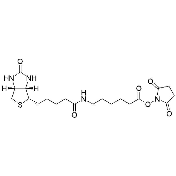 Biotinyl-e-aminocaproic acid-N-hydroxysuccinimide ester|00963|72040-63-2
