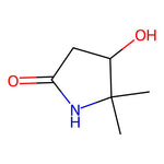 4-Hydroxy-5,5-dimethylpyrrolidin-2-one|CS-0182880|143359-81-3