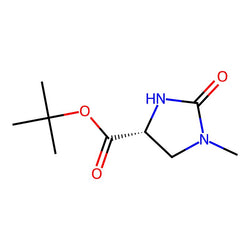 Tert-butyl (R)-1-methyl-2-oxoimidazolidine-4-carboxylate|C1301564|143996-78-5