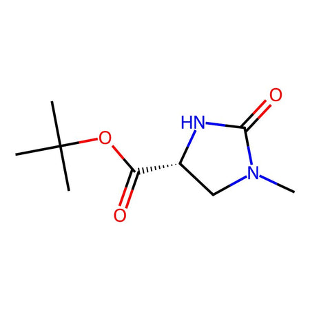 Tert-butyl (R)-1-methyl-2-oxoimidazolidine-4-carboxylate|C1301564|143996-78-5