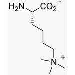 Ne-(trimethyl)-L-lysine chloride|03436|55528-53-5