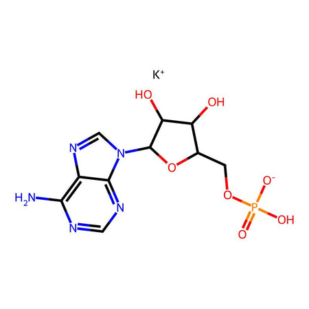 Polyadenylic acid potassium salt, 85%|433347|26763-19-9