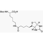 Na-Boc-Ne-biotinyl-L-lysine|02709|62062-43-5