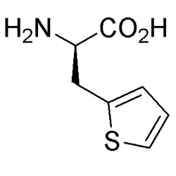 b-(2-Thienyl)-D-alanine|01321|62561-76-6