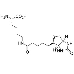 Ne-Biotinyl-L-lysine|10777|576-19-2