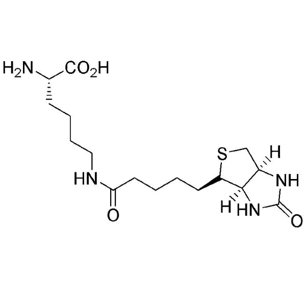 Ne-Biotinyl-L-lysine|10777|576-19-2