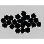 Gold NanoUrchins (50nm diameter, 1 OD, 0.1 mM in phosphate-buffered saline, 585nm abs. max.) >95.0% reactant free|79-0310