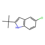 2-(tert-Butyl)-5-chloro-1H-indole|CS-0197375|69622-40-8