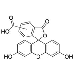 5(6)-Carboxyfluorescein|00472|72088-94-9