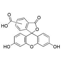 5(6)-Carboxyfluorescein|00472|72088-94-9