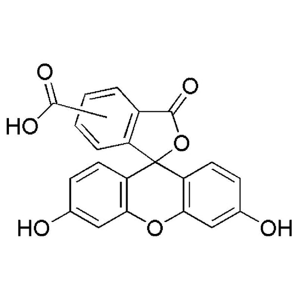 5(6)-Carboxyfluorescein|00472|72088-94-9