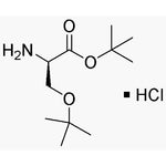 O-tert-Butyl-D-serine t-butyl ester hydrochloride|03140|179559-35-4
