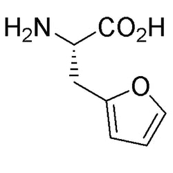 H-b-(2-Furyl)-L-alanine|07442|127682-08-0