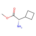 (S)-Methyl 2-amino-2-cyclobutylacetate|CS-D0197|1217784-81-0