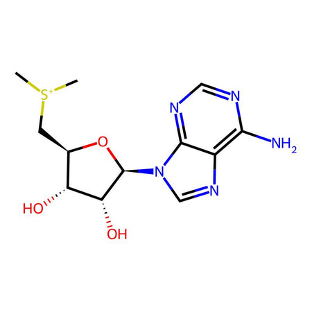 Adenosine Impurity 15|C4X-241915|15648-76-7