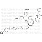 TentaGel N A (150 - 220 μmol/g, 90 μm)|48128