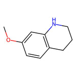 7-Methoxy-1,2,3,4-tetrahydroquinoline|CS-0135131|19500-61-9