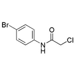 N-(4-Bromophenyl)-2-chloroacetamide|25944|2564-02-5
