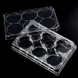 biologix 6-well (external dimensions: 85.4mm(w)x127.6mm(l)x20.2mm(h) | well dimesions: 35mm(d)x17.5mm(h) | working volume: 3ml) clear polystyrene (tc-treated) sterile cell culture plates with lids. pl|07-6006