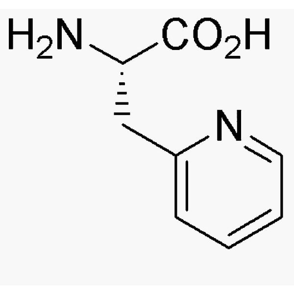 3-(2'-Pyridyl)-L-alanine|06211|37535-51-6