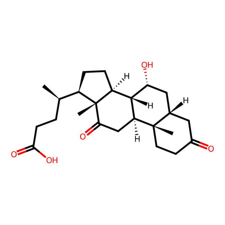 Cholic Aicd Impurity 17|C4X-116017|2304-91-8