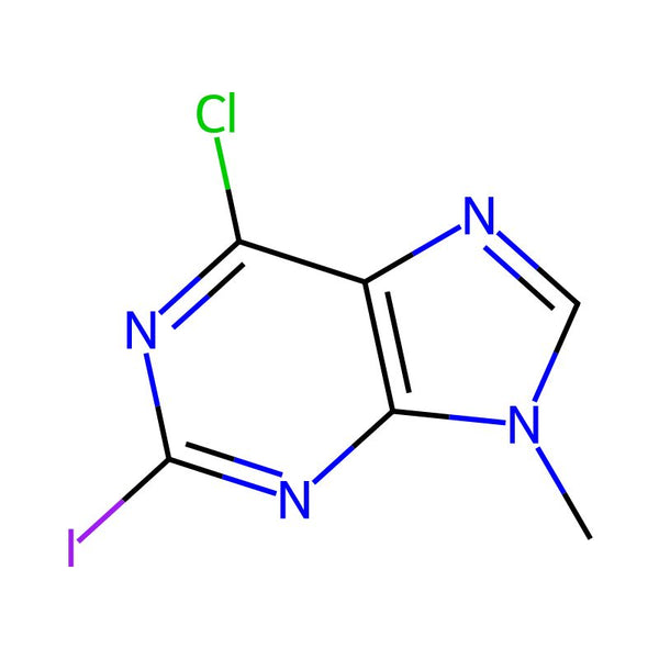 6-Chloro-2-iodo-9-methyl-9H-purine|CS-0497668|247193-36-8