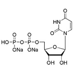 Uridine-5'-diphosphate disodium salt|00310|21931-53-3